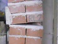 Case 39